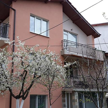 Вила Багрянови Dospat Exterior foto